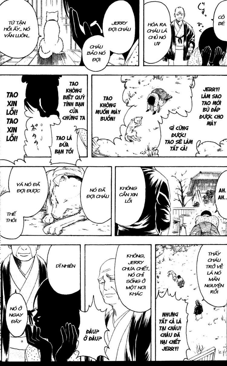 Gintama Chapter 237 - 15