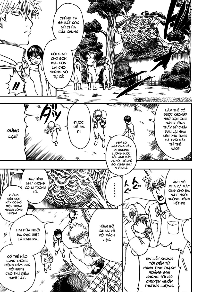 Gintama Chapter 269 - 13