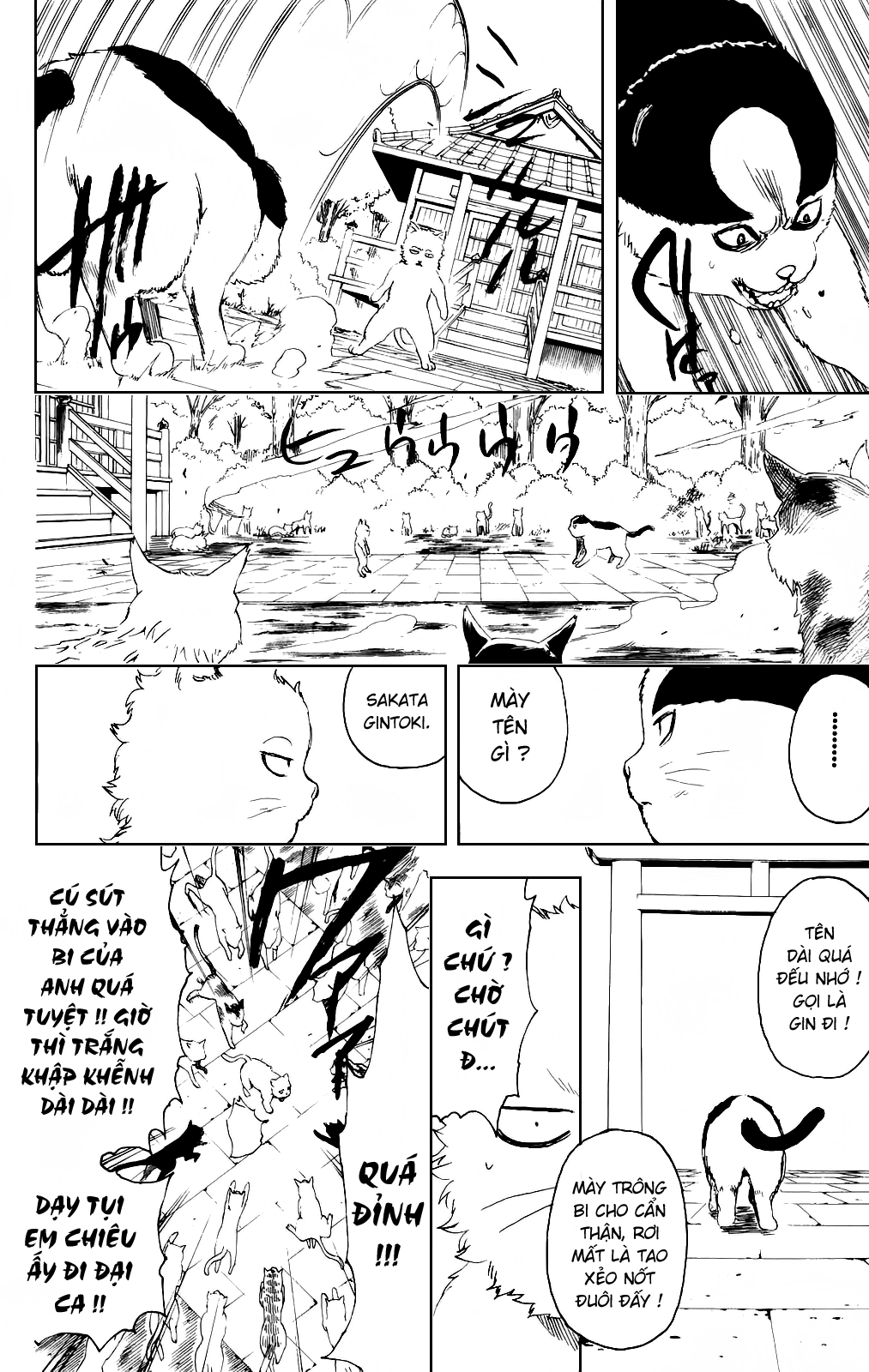 Gintama Chapter 275 - 15