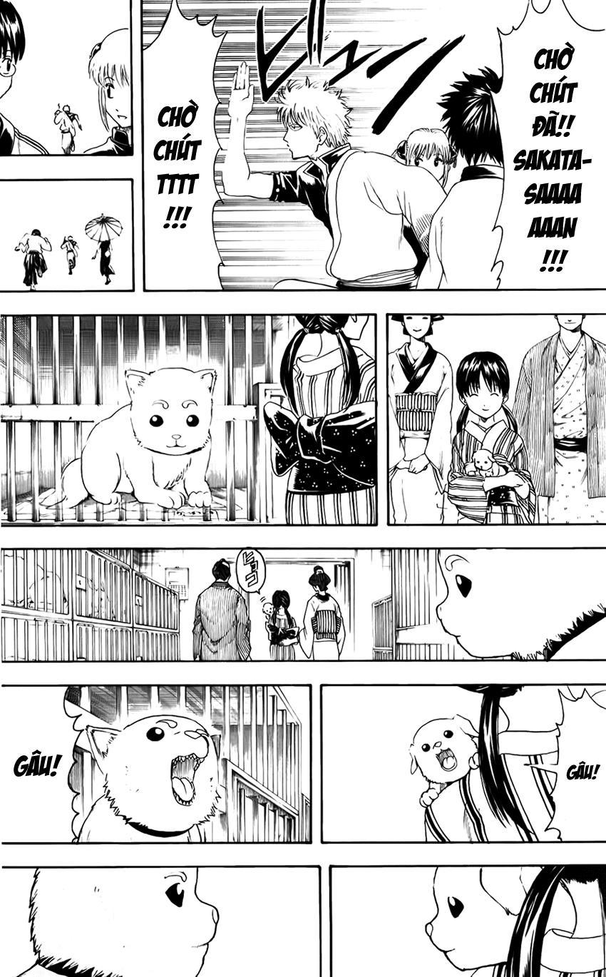 Gintama Chapter 402 - 21