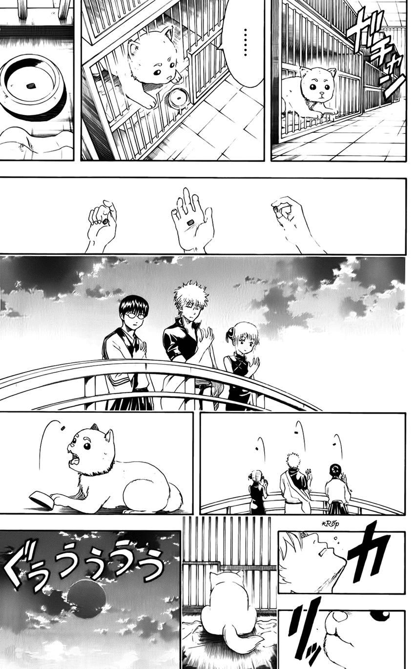 Gintama Chapter 402 - 22