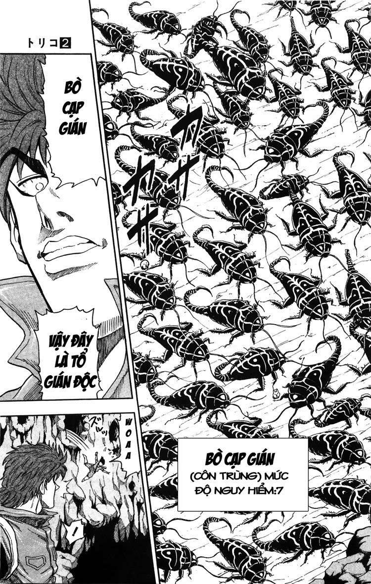 Toriko - Thợ Săn Ẩm Thực Chapter 10 - 16