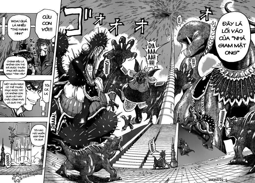 Toriko - Thợ Săn Ẩm Thực Chapter 126 - 11