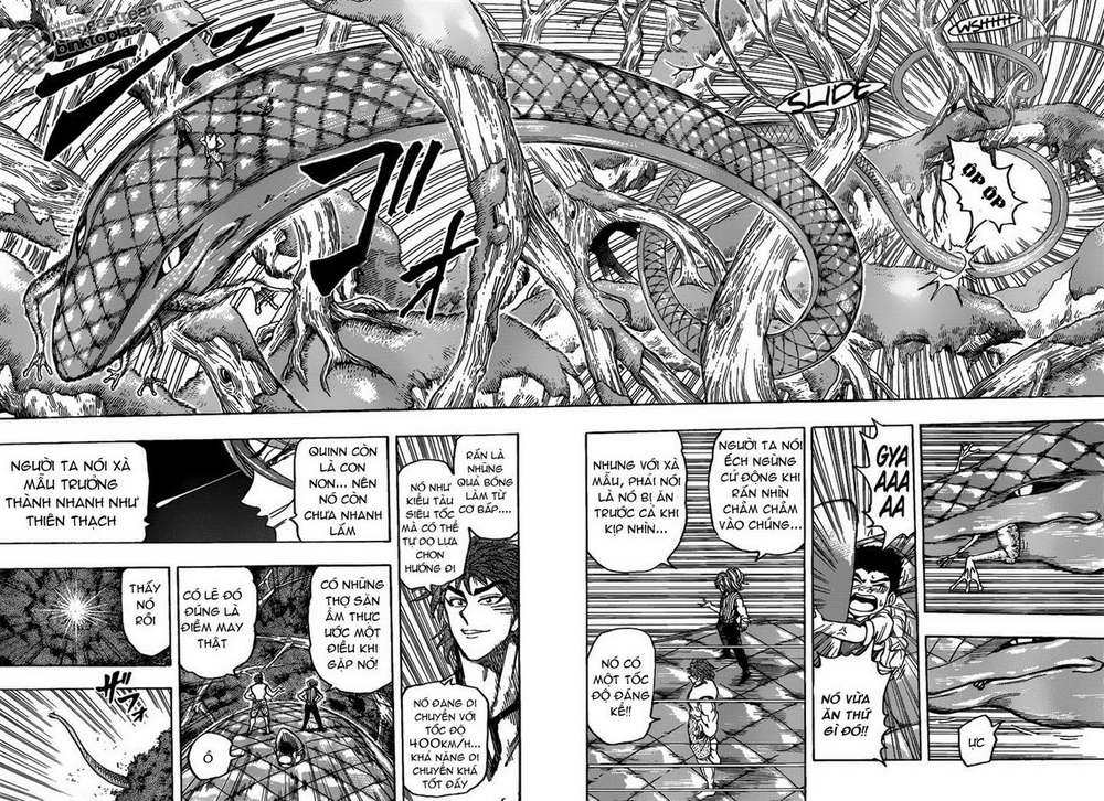 Toriko - Thợ Săn Ẩm Thực Chapter 149 - 2