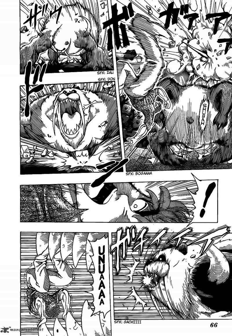 Toriko - Thợ Săn Ẩm Thực Chapter 167 - 8