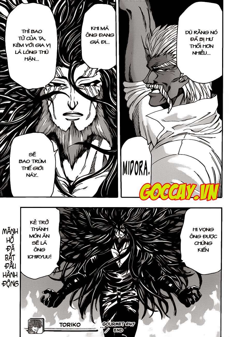 Toriko - Thợ Săn Ẩm Thực Chapter 247 - 18