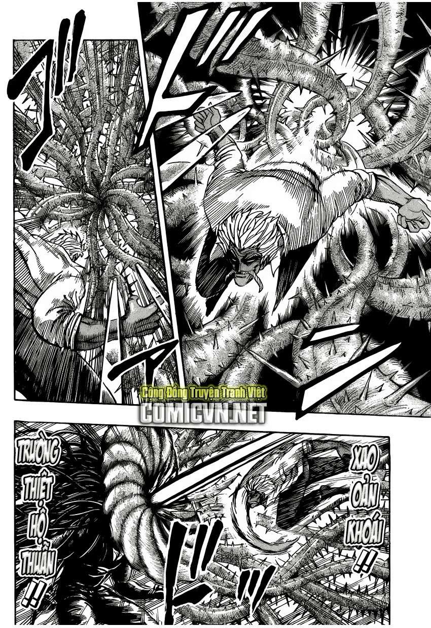 Toriko - Thợ Săn Ẩm Thực Chapter 248 - 12