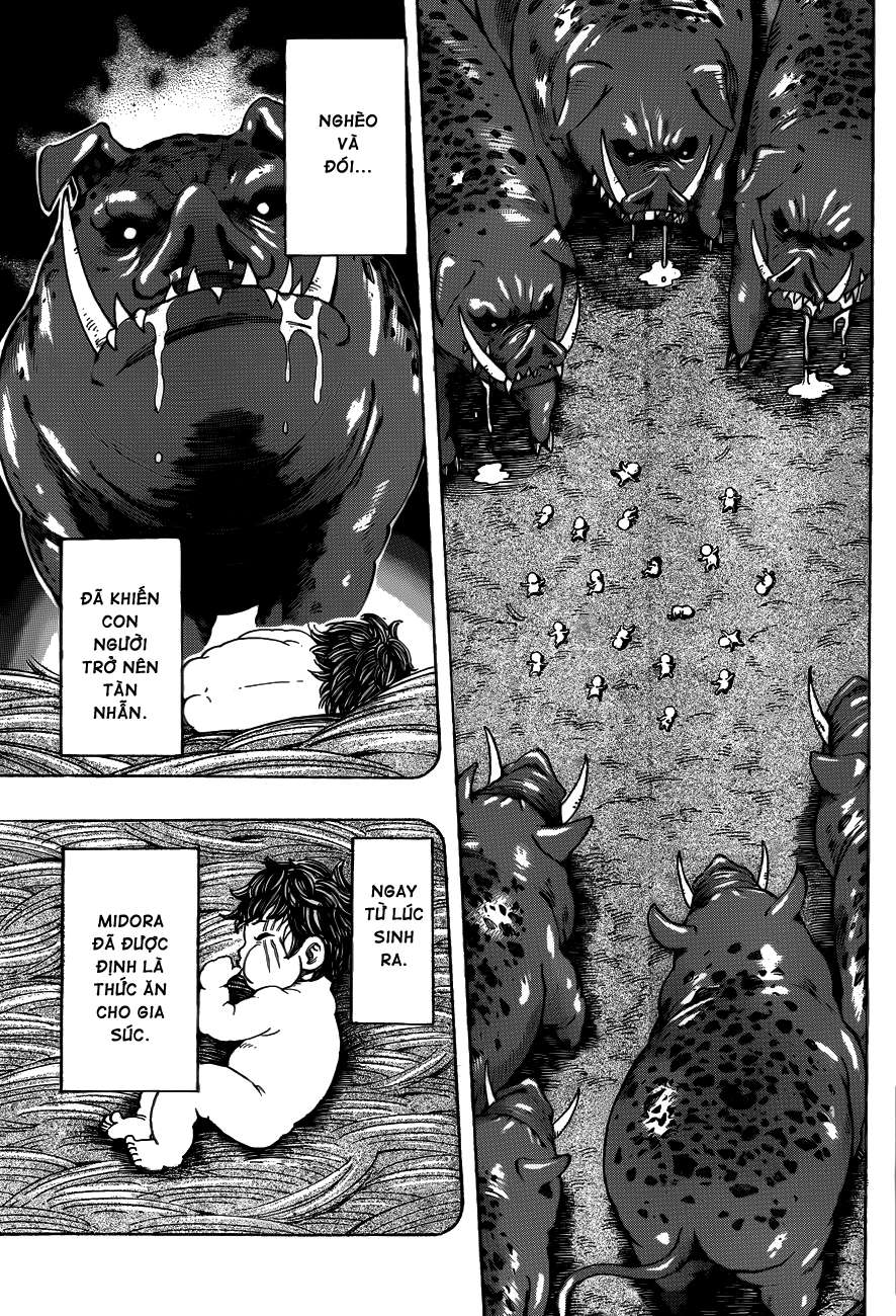 Toriko - Thợ Săn Ẩm Thực Chapter 250 - 14