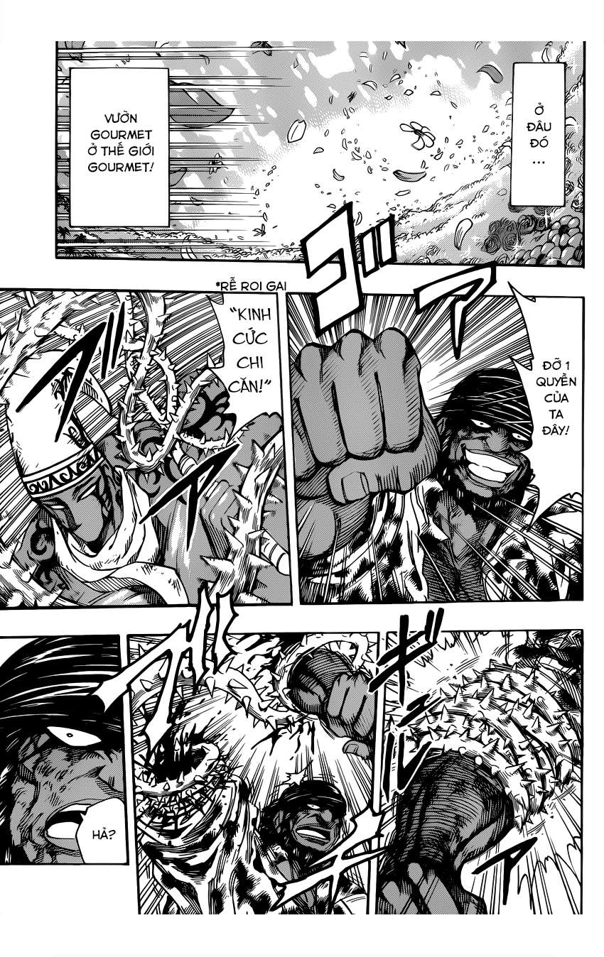 Toriko - Thợ Săn Ẩm Thực Chapter 256 - 9