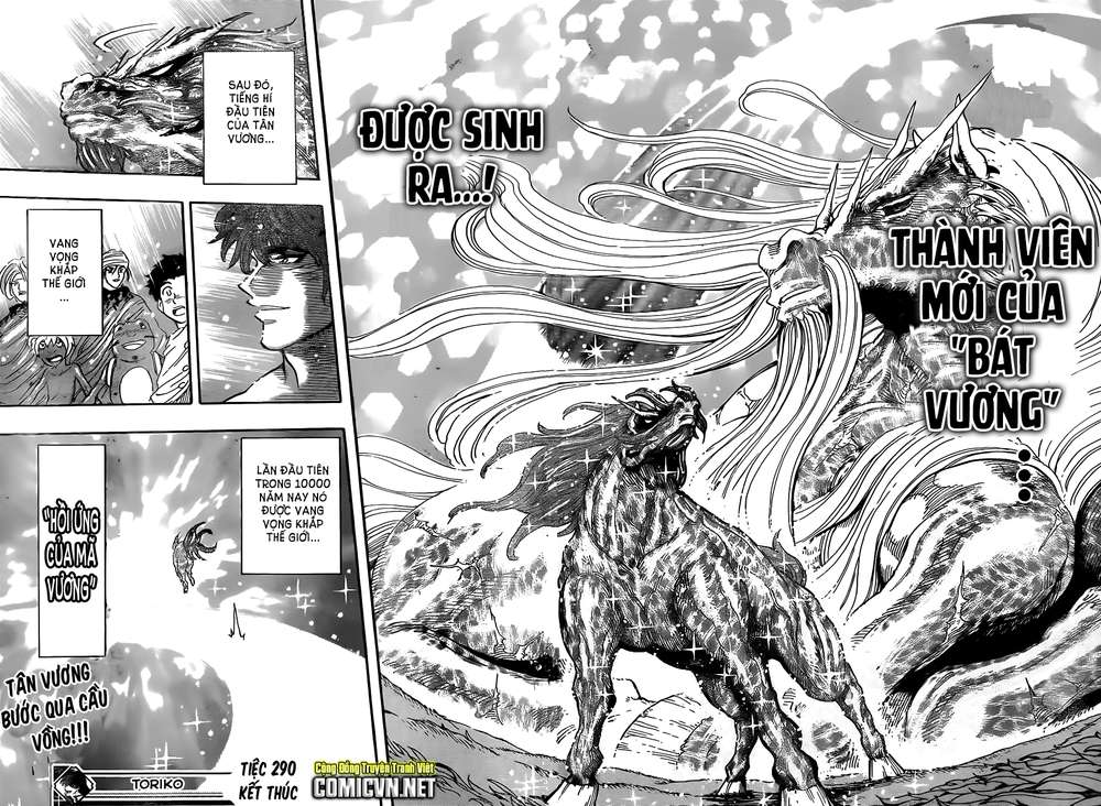 Toriko - Thợ Săn Ẩm Thực Chapter 290 - 14