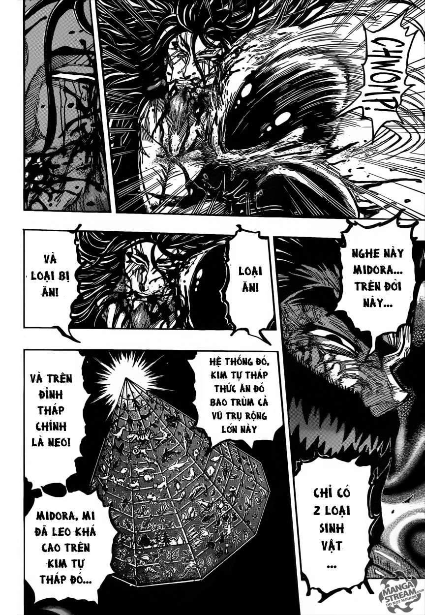 Toriko - Thợ Săn Ẩm Thực Chapter 390 - 10