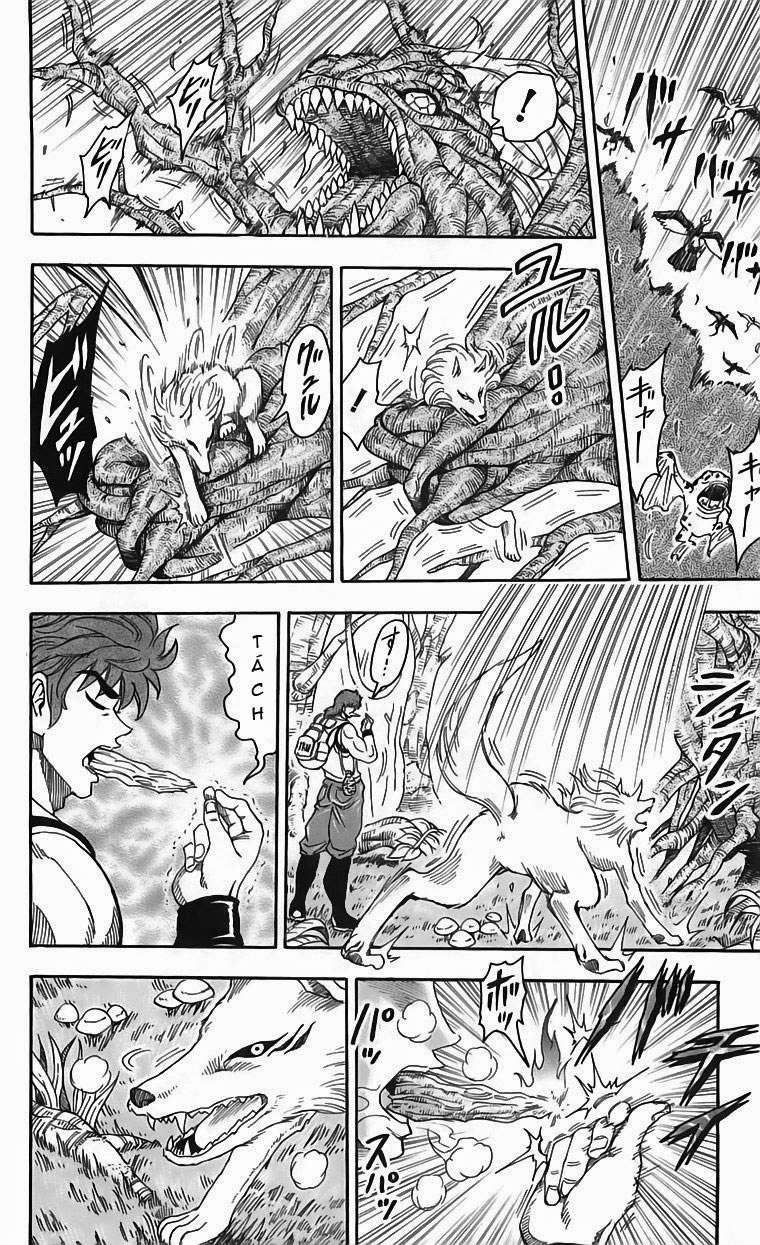 Toriko - Thợ Săn Ẩm Thực Chapter 57 - 5