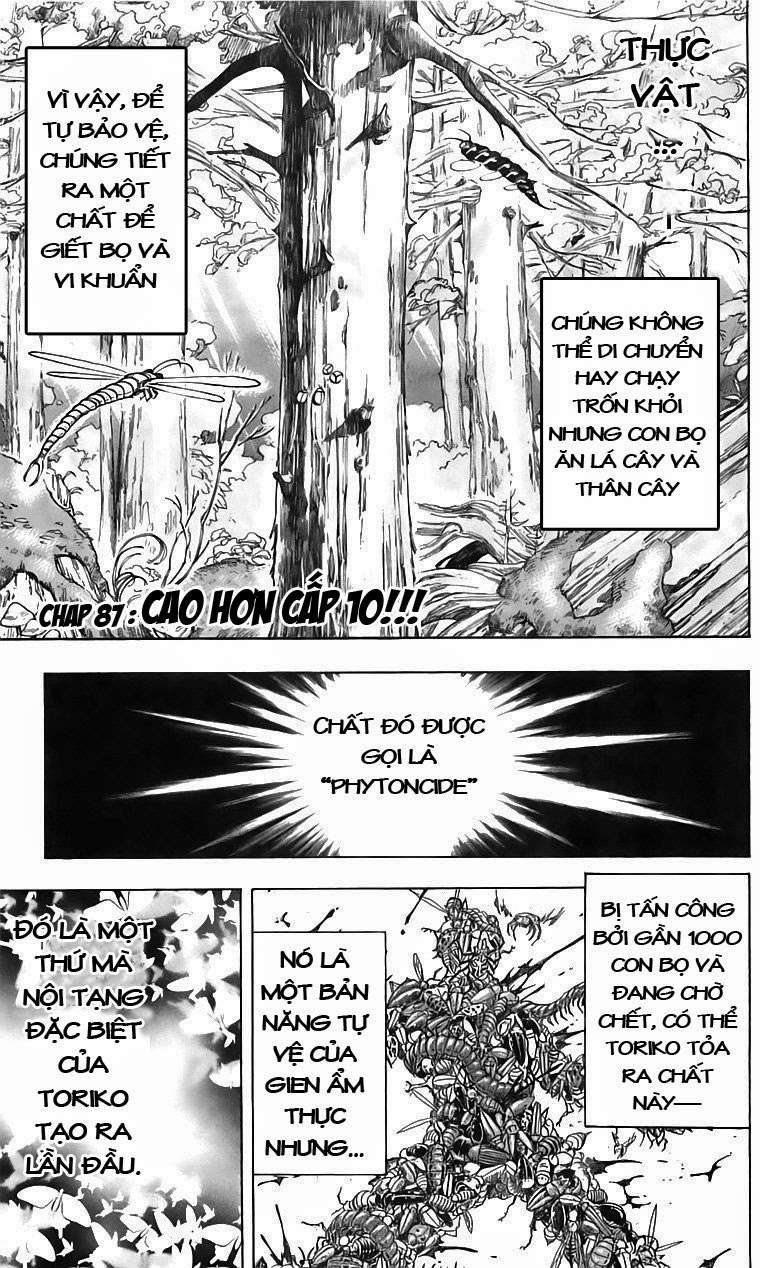 Toriko - Thợ Săn Ẩm Thực Chapter 87 - 1