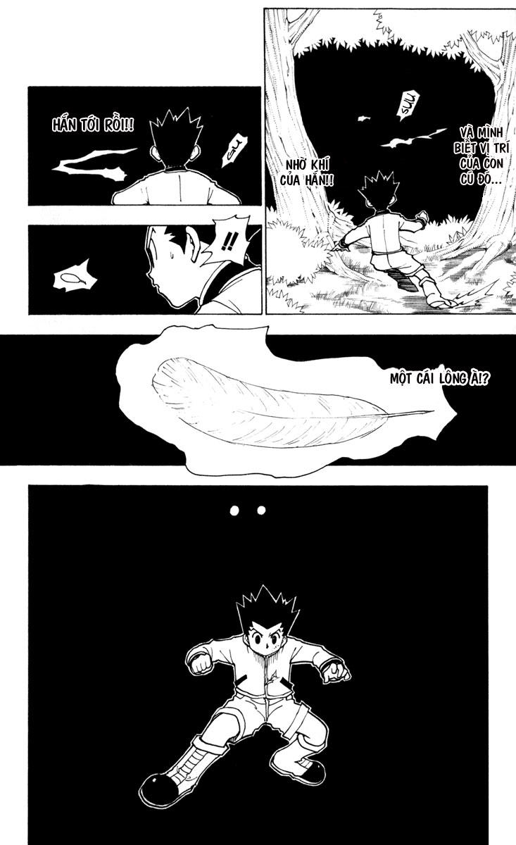 Hunter X Hunter Chapter 233 - 5