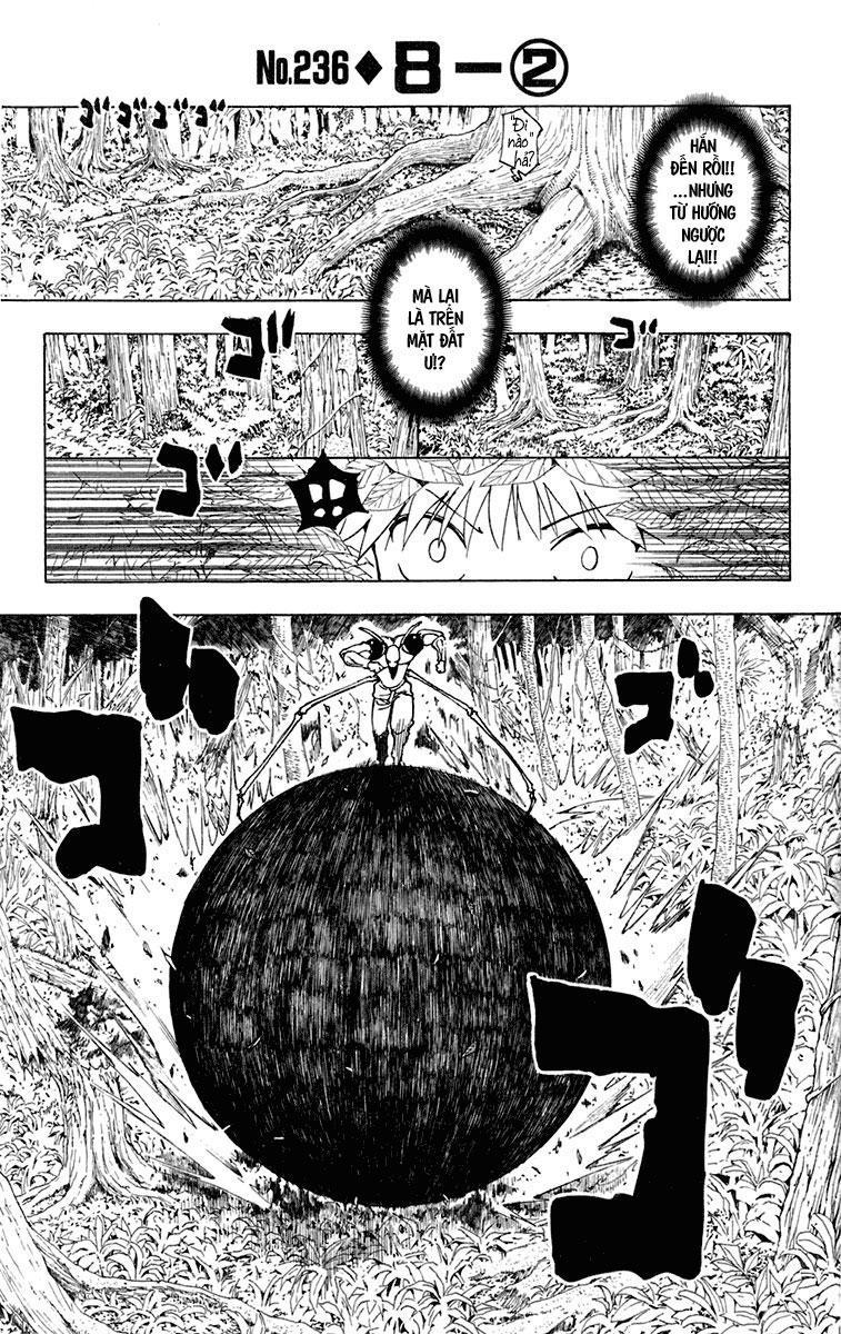 Hunter X Hunter Chapter 236 - 2