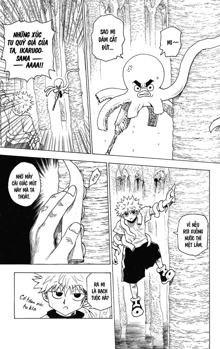 Hunter X Hunter Chapter 238 - 4