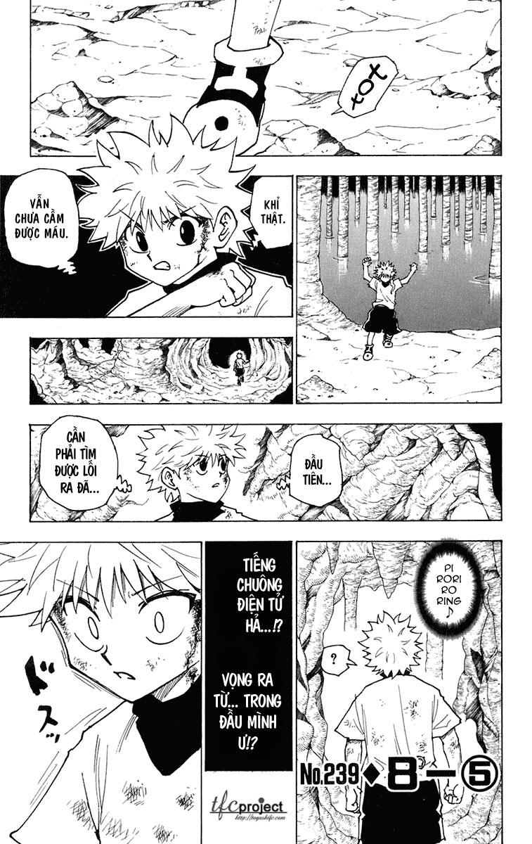 Hunter X Hunter Chapter 239 - 2