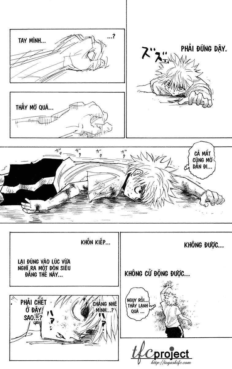 Hunter X Hunter Chapter 241 - 5