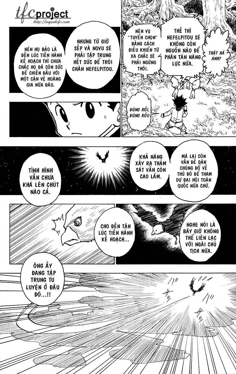 Hunter X Hunter Chapter 243 - 9