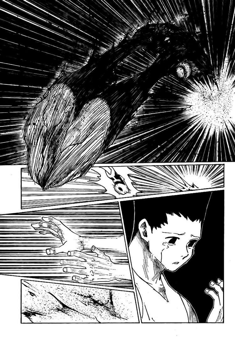 Hunter X Hunter Chapter 307 - 8