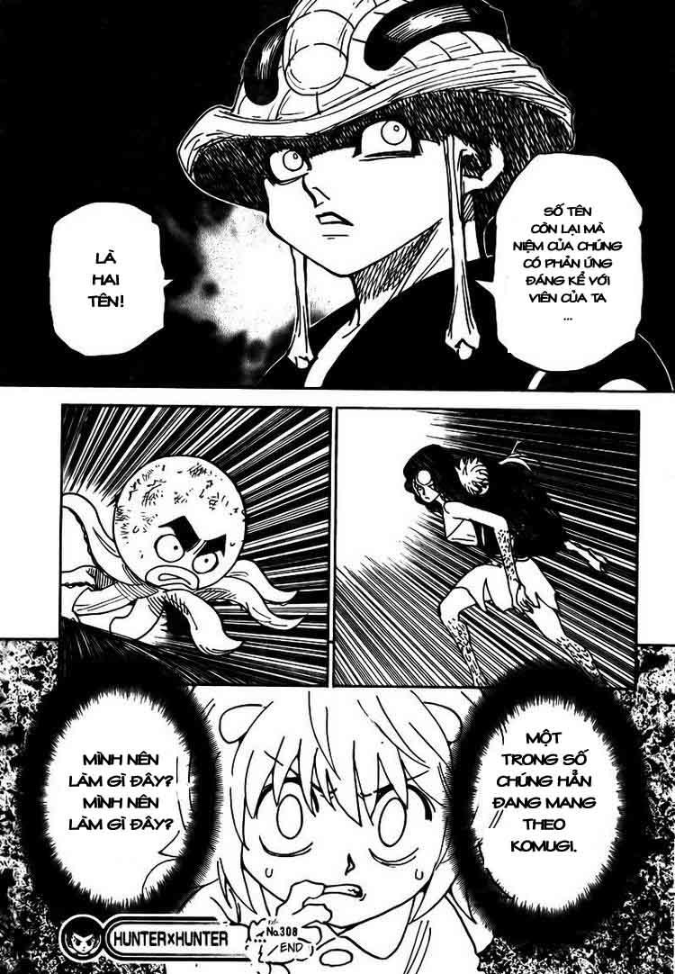 Hunter X Hunter Chapter 308 - 17