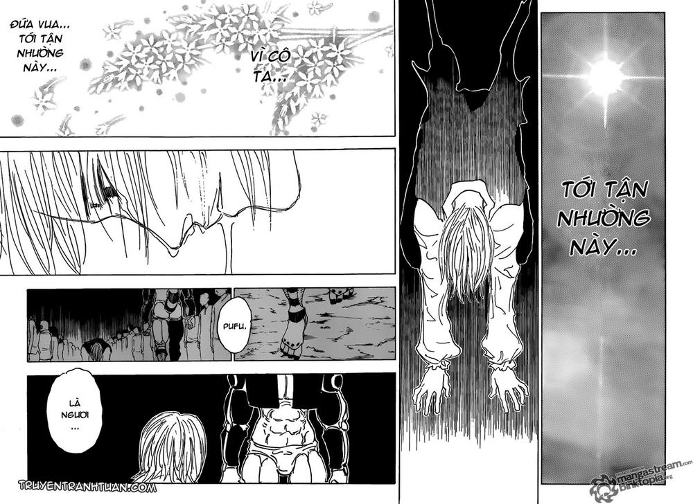 Hunter X Hunter Chapter 313 - 8