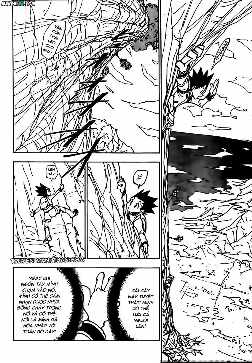 Hunter X Hunter Chapter 338 - 8