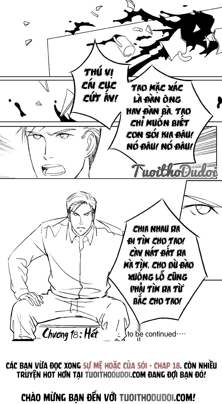 Sự Mê Hoặc Của Sói Chapter 18 - 17