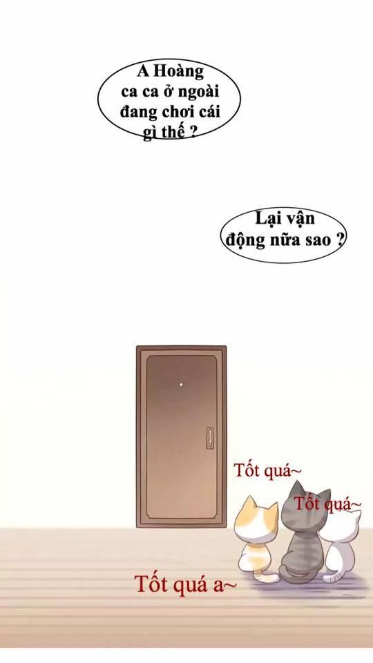 Dưới Móng Vuốt Mèo Chapter 16 - 46