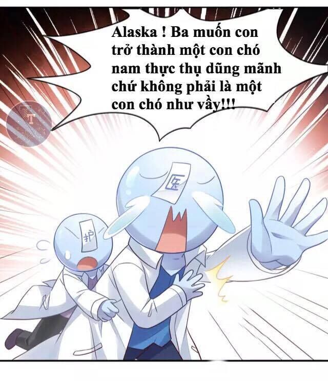 Dưới Móng Vuốt Mèo Chapter 17 - 11