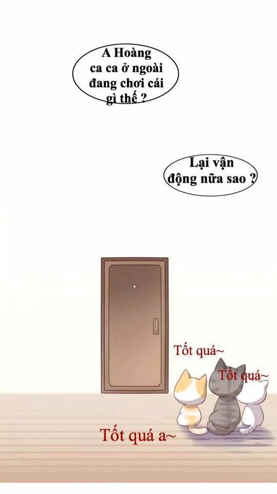 Dưới Móng Vuốt Mèo Chapter 17 - 46