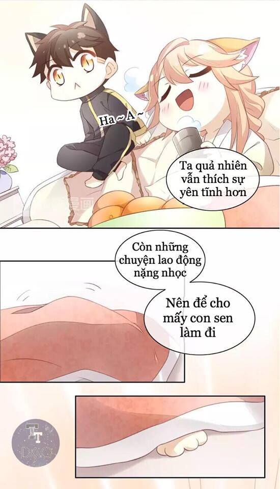 Dưới Móng Vuốt Mèo Chapter 18 - 4