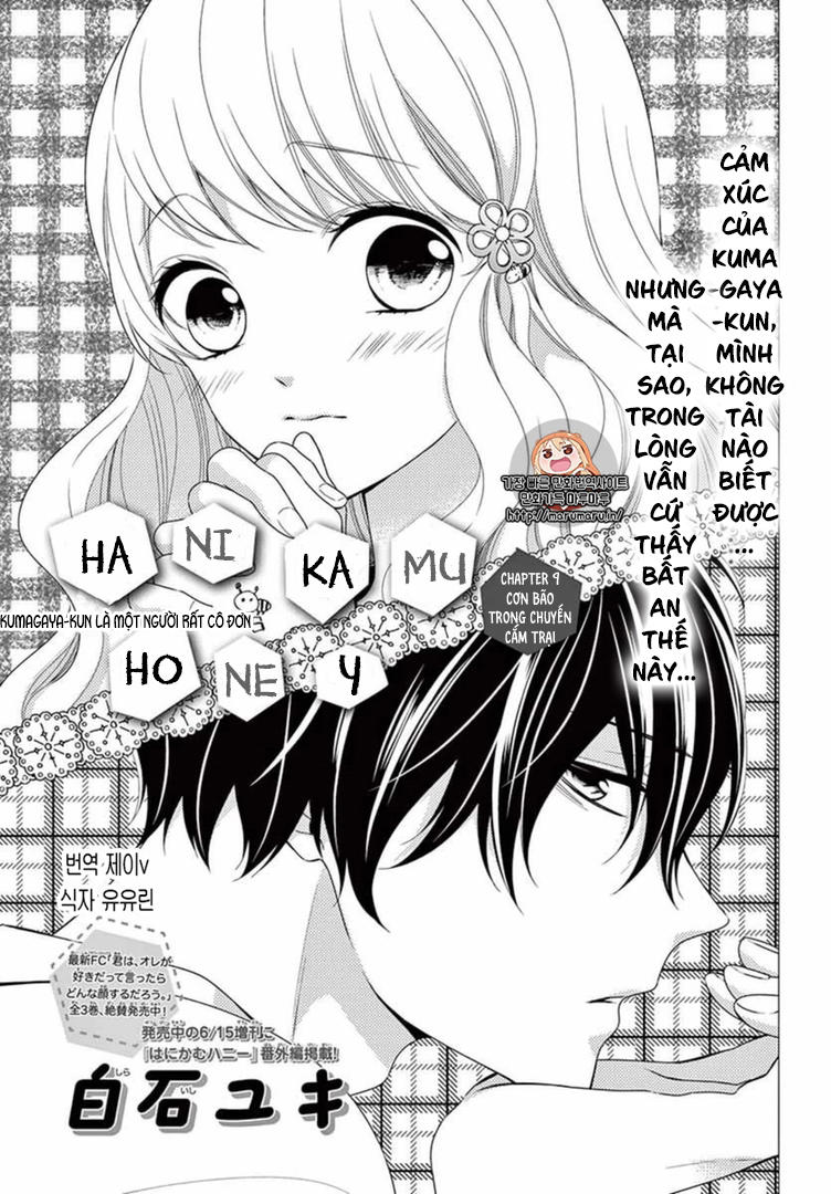 Hanikamu Honey Chapter 9 - 3