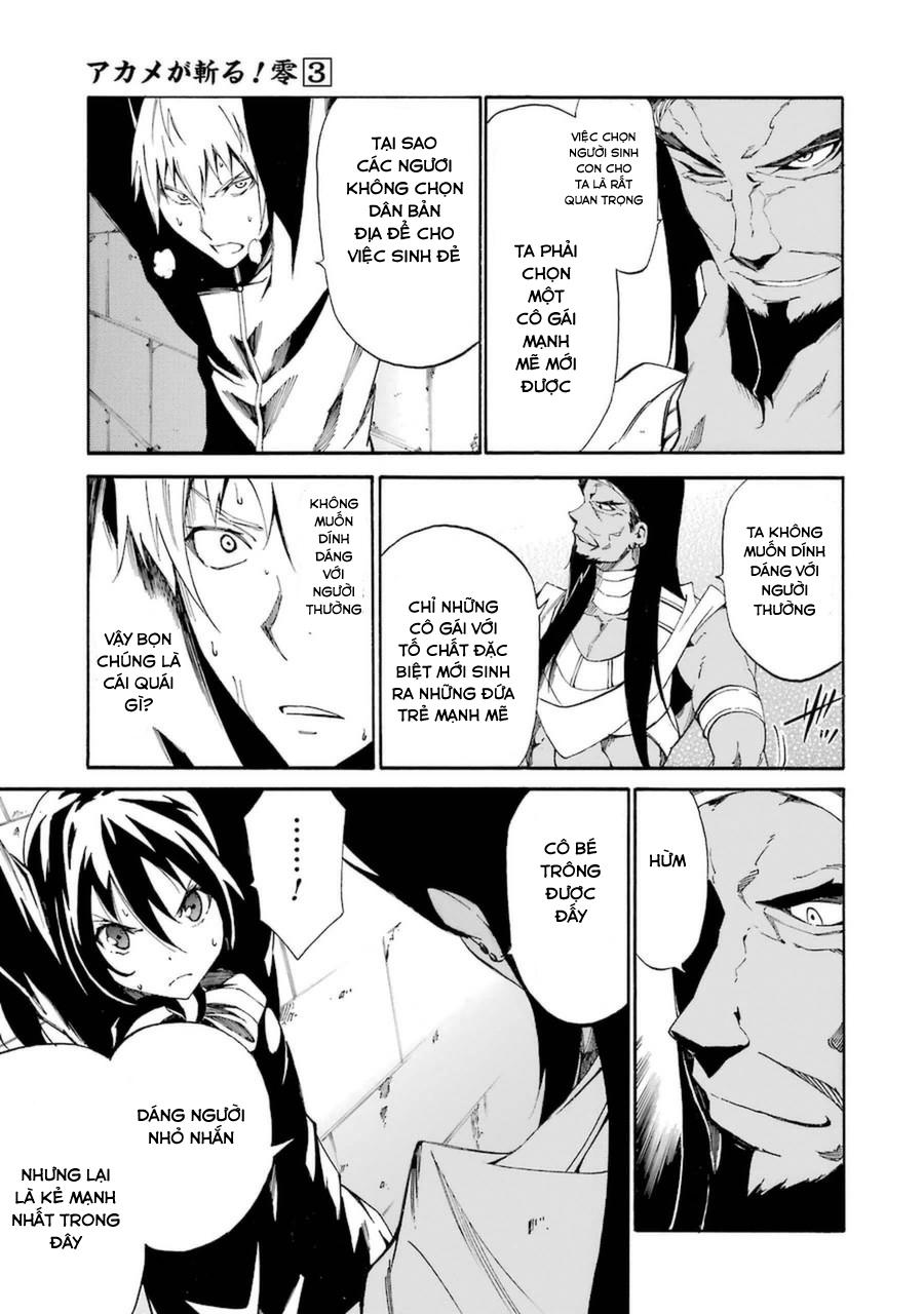 Akame Ga Kill! Zero Chapter 20 - 3