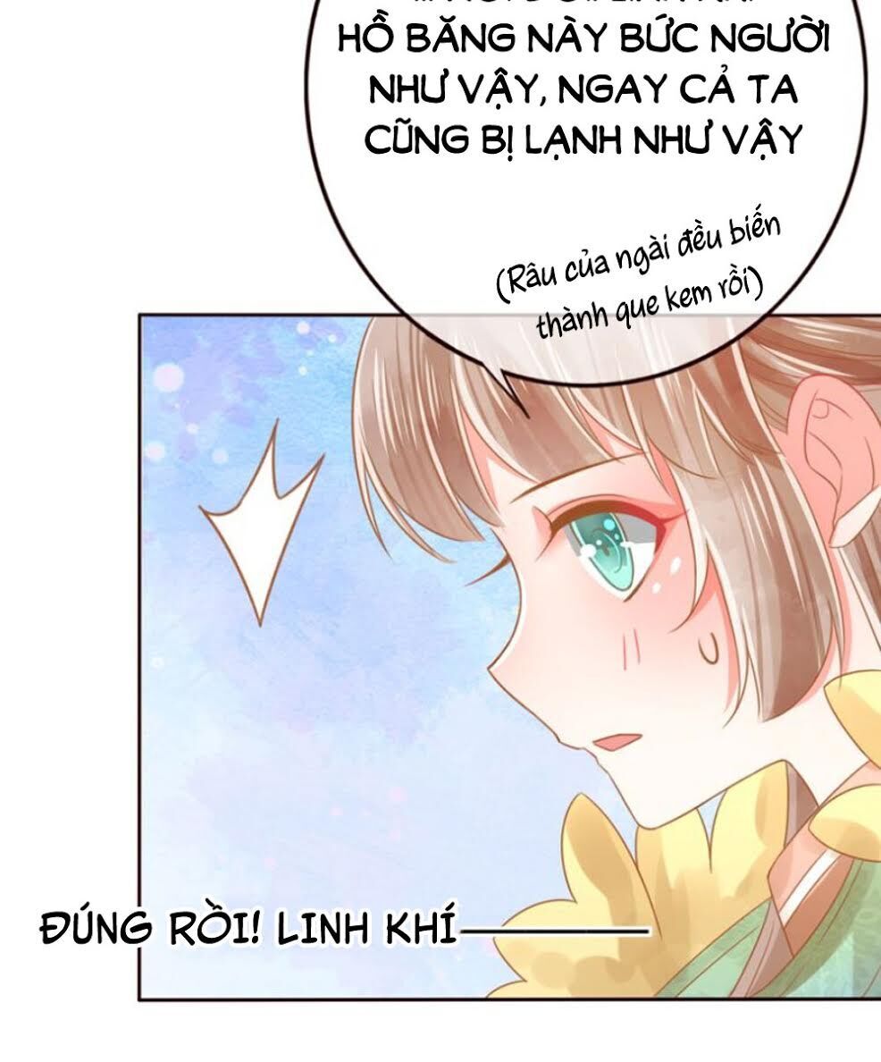 Chọc Nhầm Thượng Thần Băng Lãnh Chapter 23 - 40