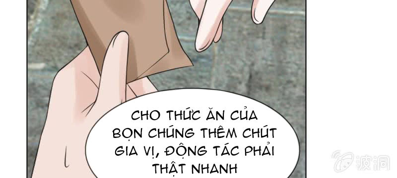 Loạn Thế Đế Hậu Chapter 59 - 30