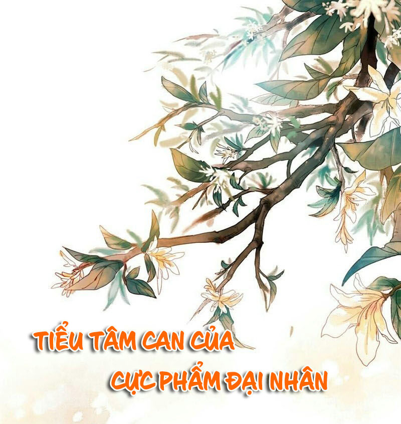 Tiểu Tâm Can Của Cực Phẩm Đại Nhân Chapter 13 - 2