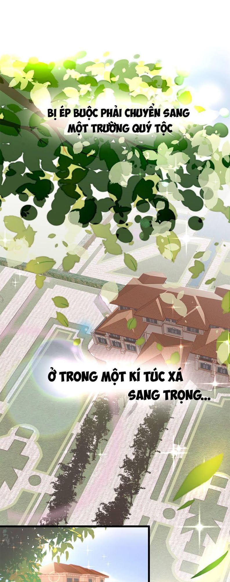 Ứng Cử Viên Hôn Phu Của Ta Chapter 1 - 6