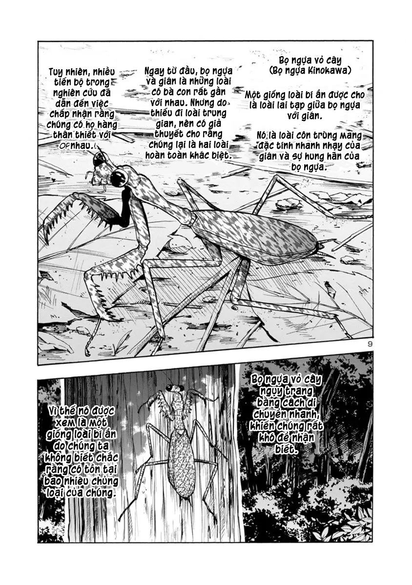 Kyochuu Rettou - Đảo Côn Trùng Chapter 38.5 - 29