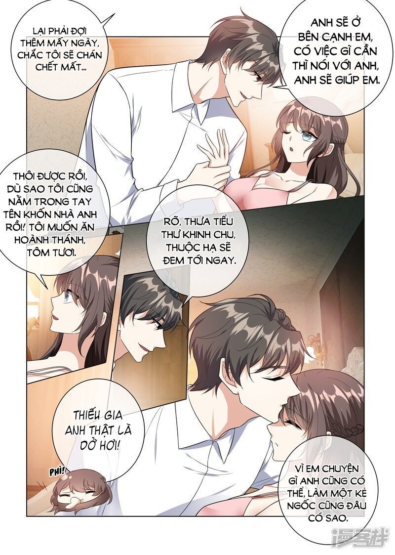 Thiếu Soái! Vợ Ngài Lại Bỏ Trốn Chapter 226 - 6