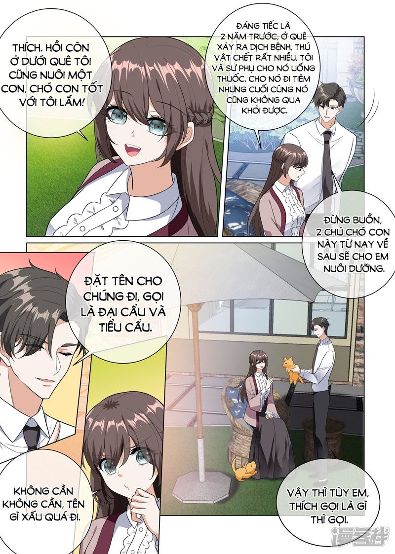 Thiếu Soái! Vợ Ngài Lại Bỏ Trốn Chapter 227 - 7