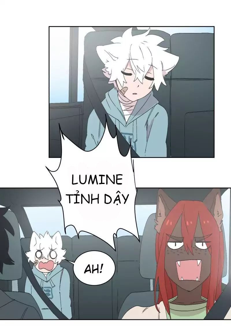 Lumine Chapter 30 - 25