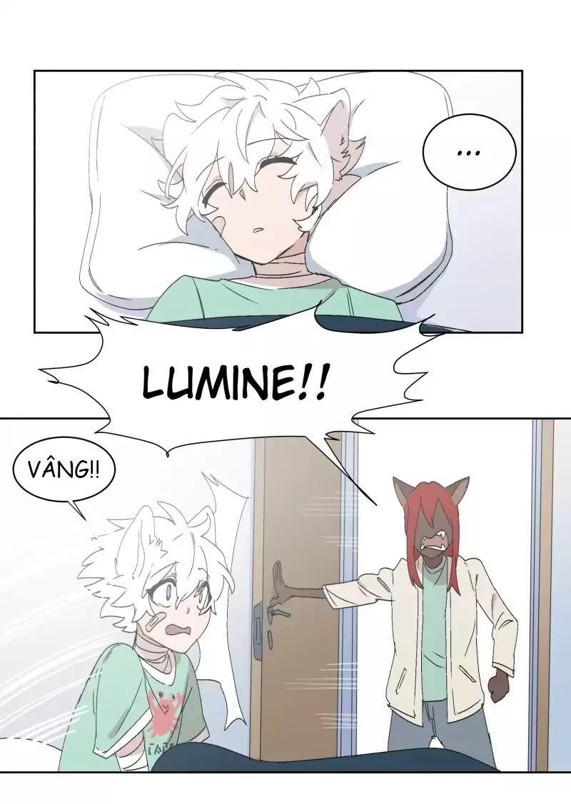 Lumine Chapter 30 - 6