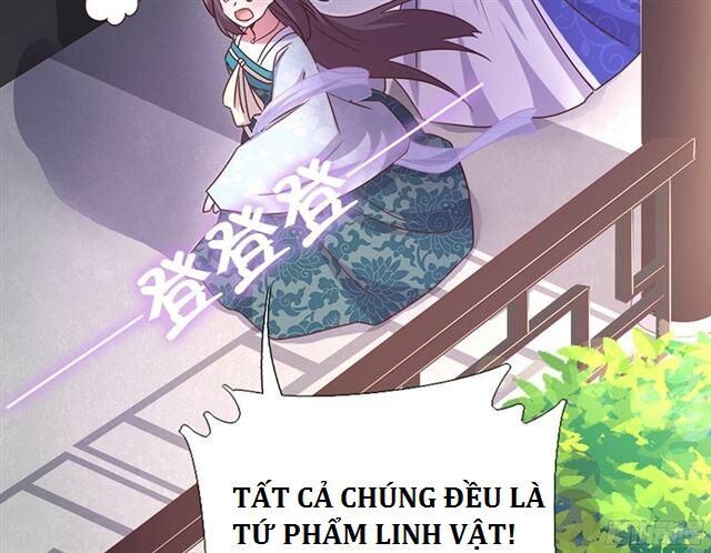 Thần Trù Cuồng Hậu Chapter 40 - 20