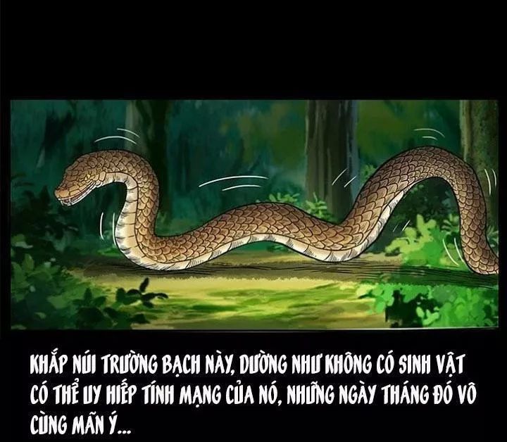 U Minh Ngụy Tượng Chapter 142 - 44