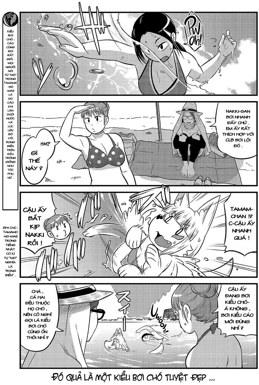 High School Inari Tamamo-Chan Chapter 14 - 6