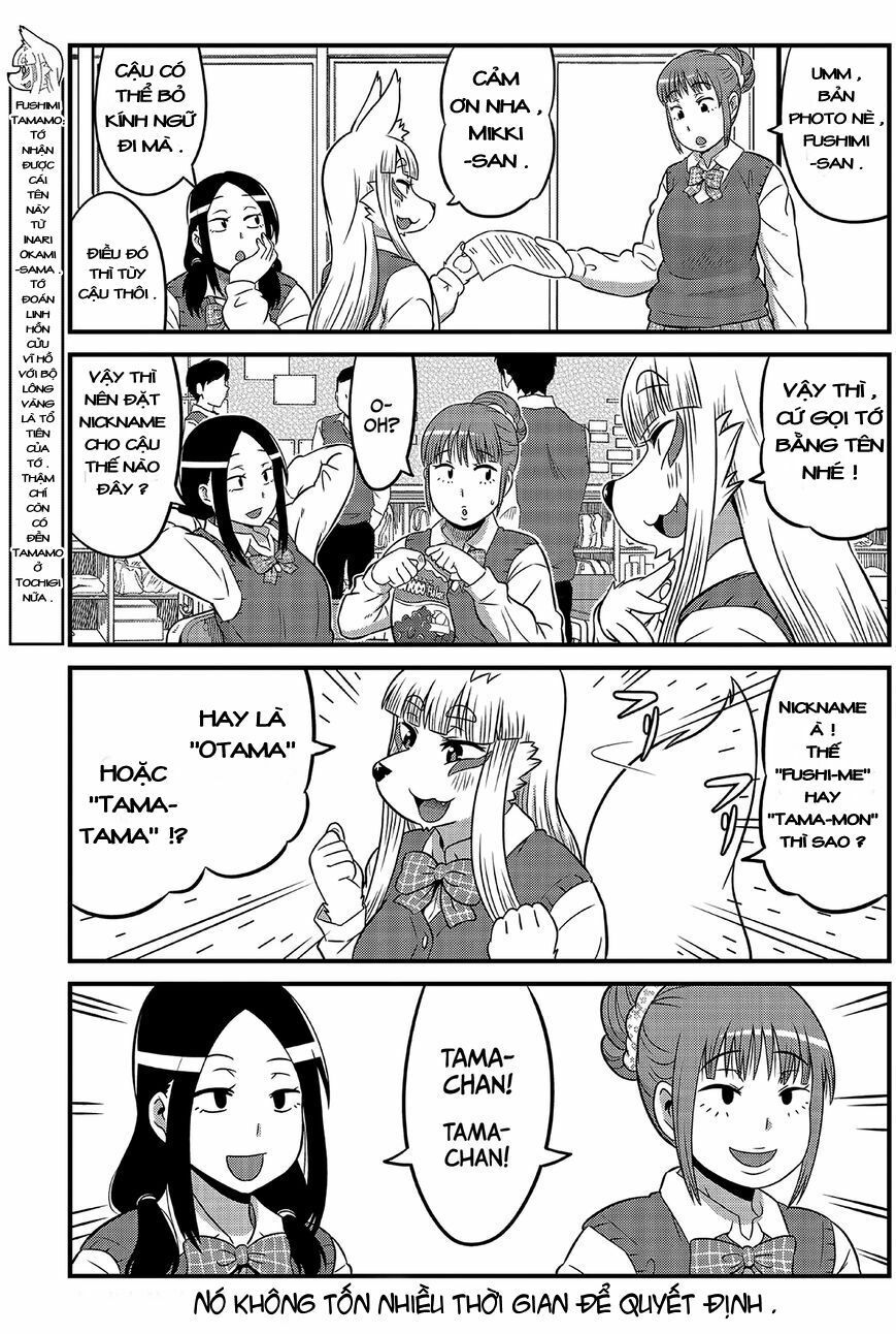 High School Inari Tamamo-Chan Chapter 2 - 8