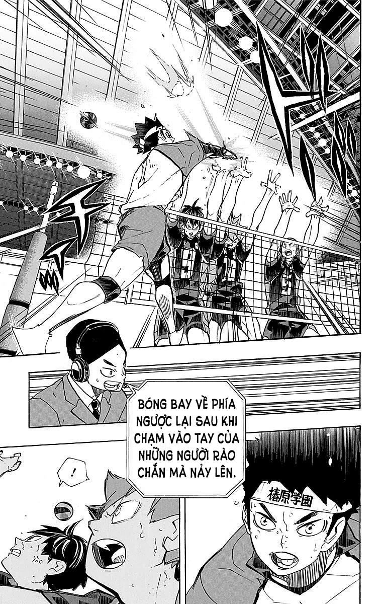 Haikyuu Chapter 242 - 11