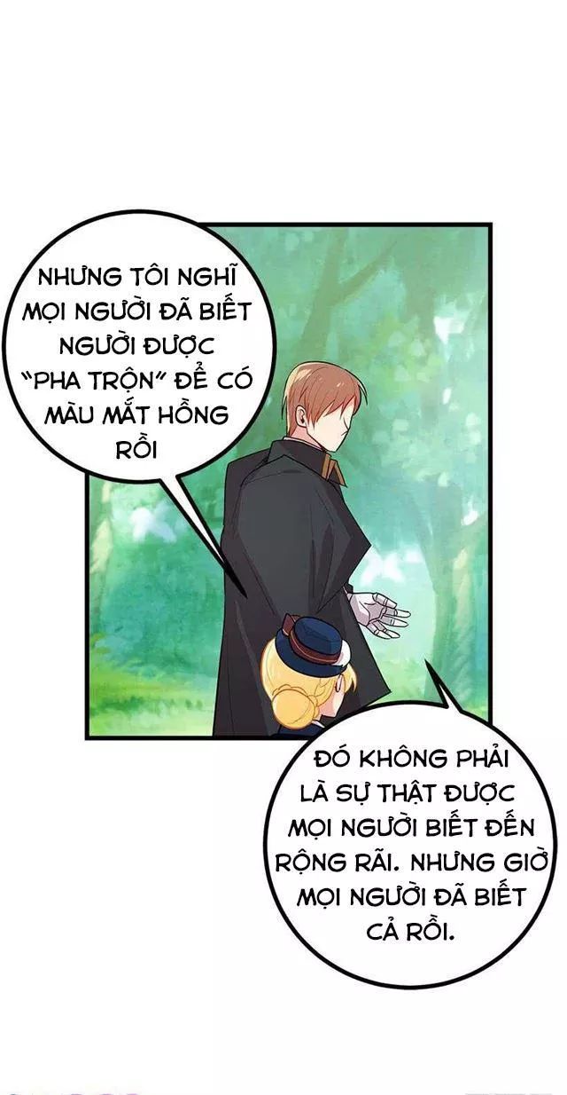 Tôi Là Tiểu Thư Của Gia Đình Này Chapter 47 - 33