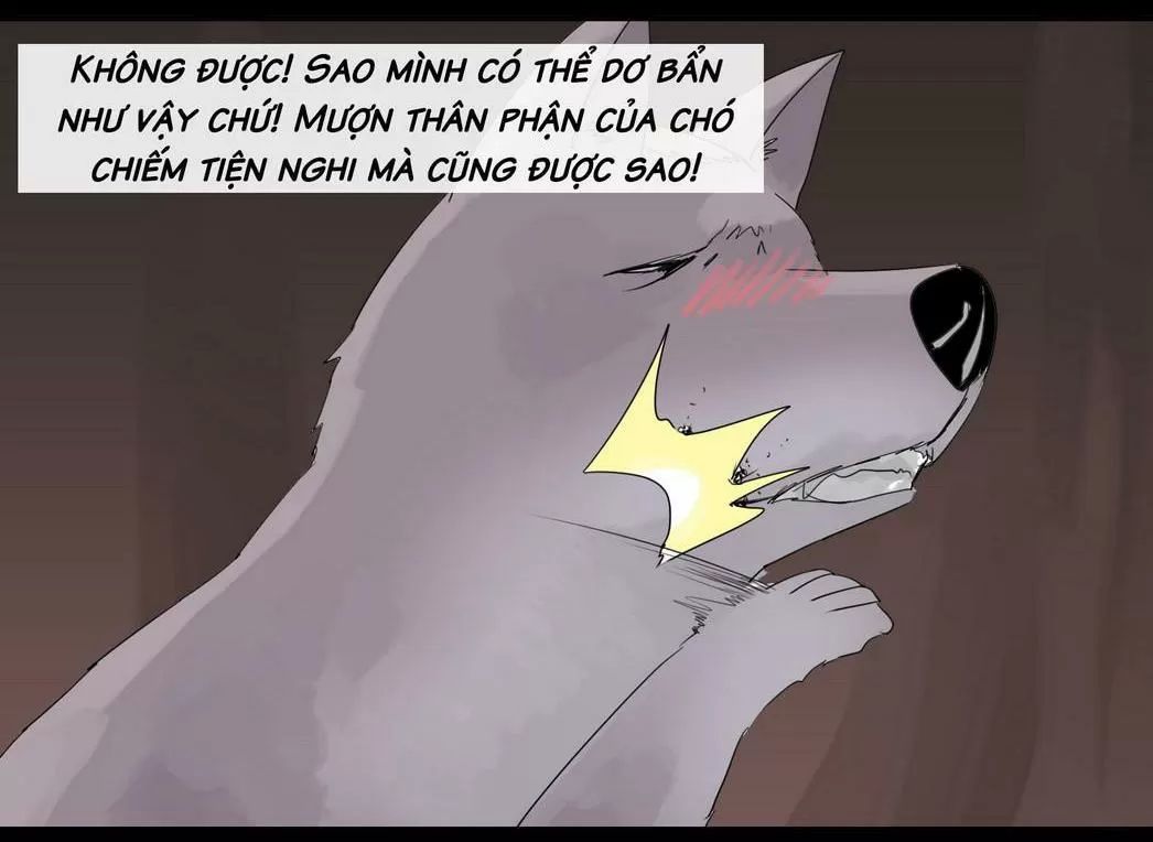 Một Con Chó Chapter 47 - 5